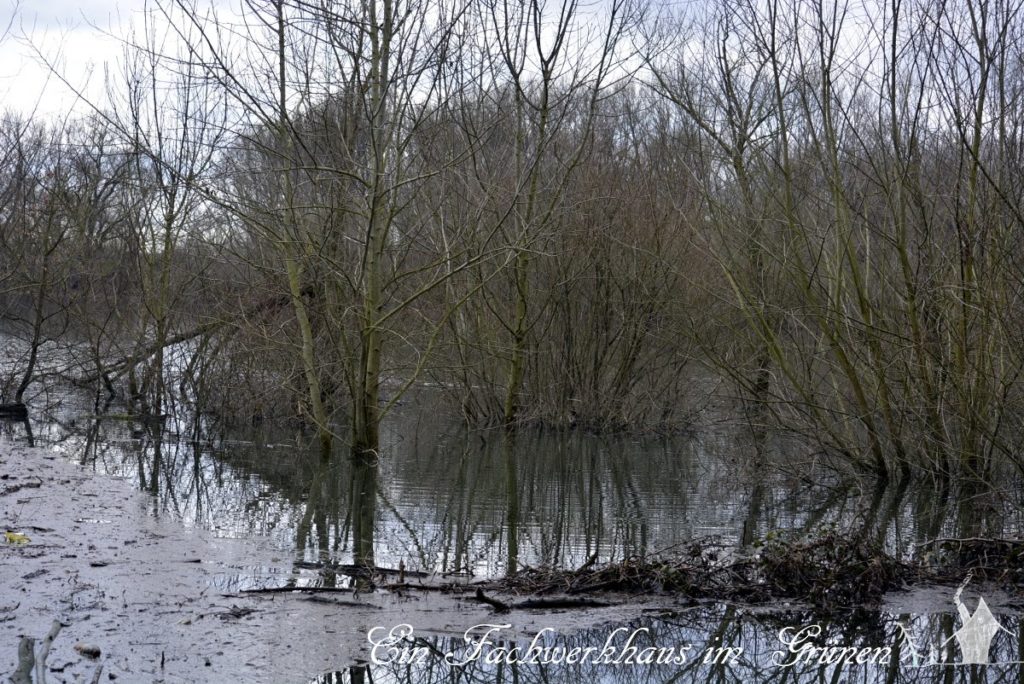 Siegaue, Hochwasser