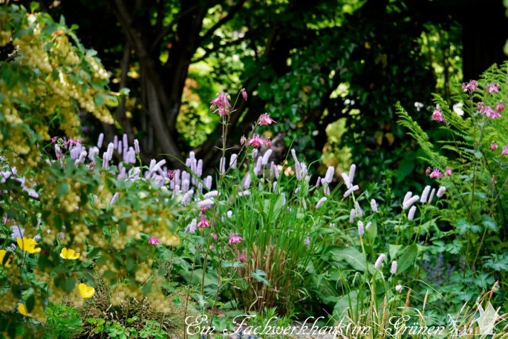 Gartentraum, Räume im Garten, Gartenblog