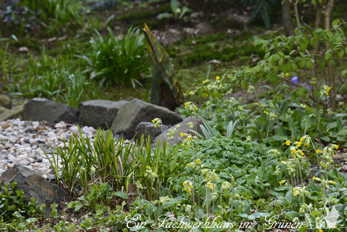 Der Garten im April