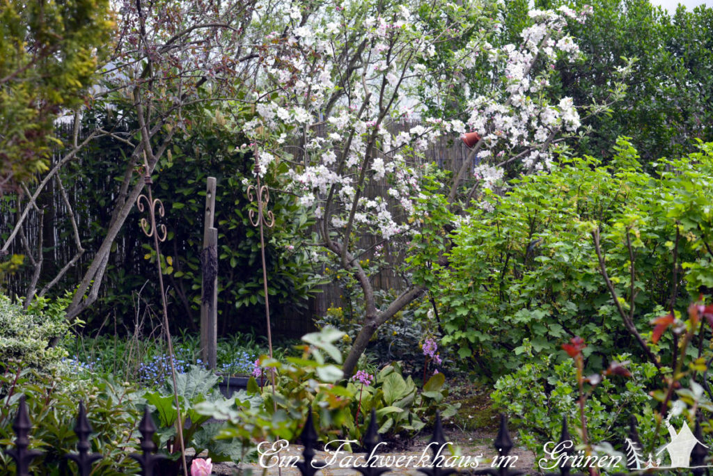 Der Garten im April 2020