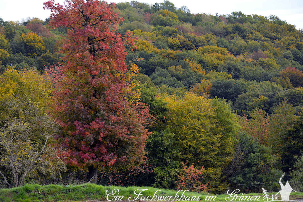 Farben werden sichtbar