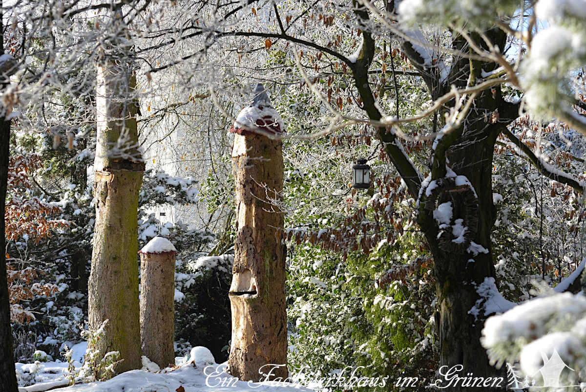 Winterwunderland in unserem Garten.