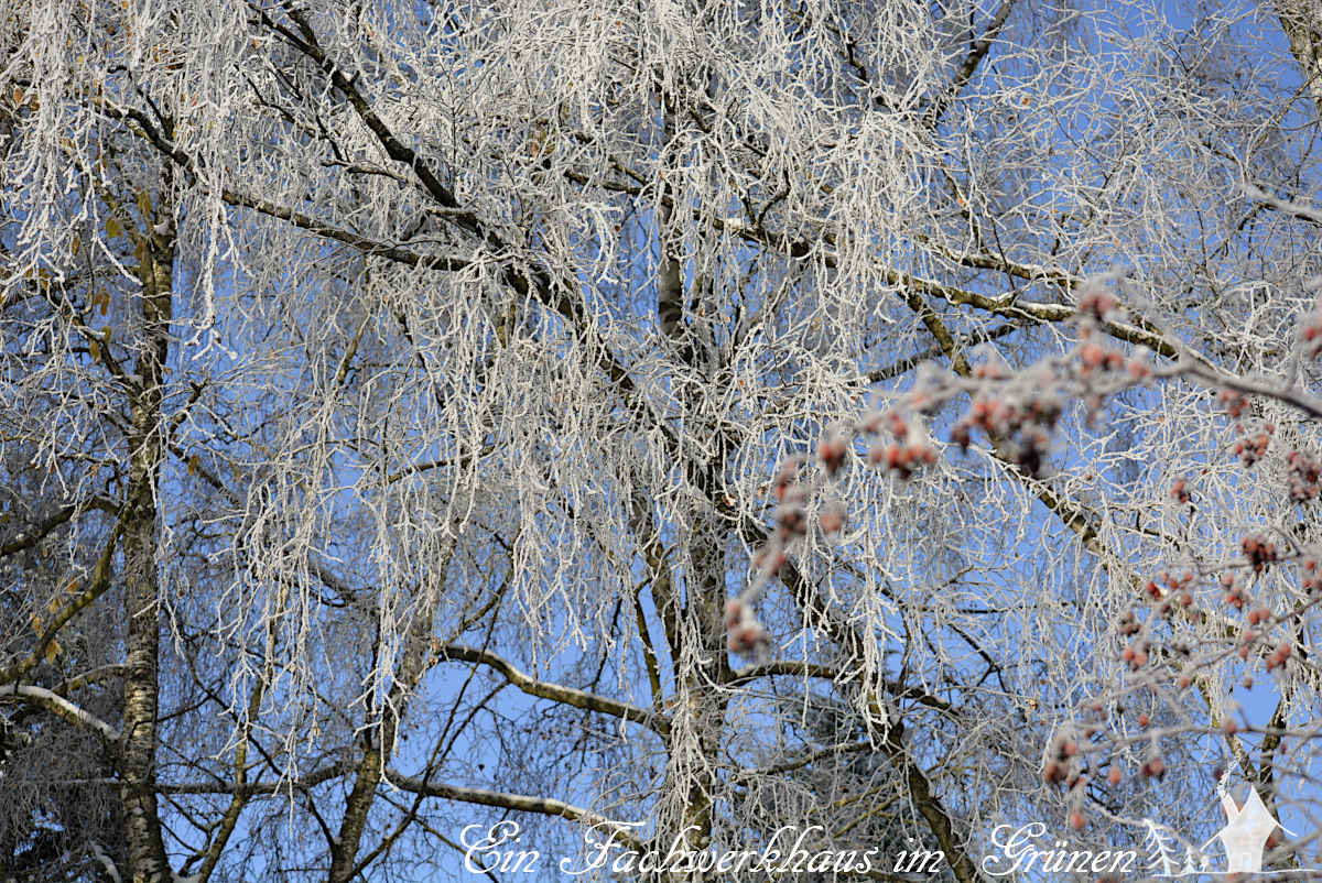 Winterwunderland