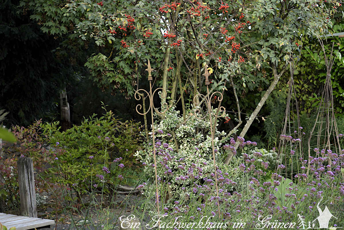 Der Herbst hält Einzug in den Garten.Das Herbstäquinoktium markiert den Kippunkt, der Sommer ist unwiederbringlich vorbei.